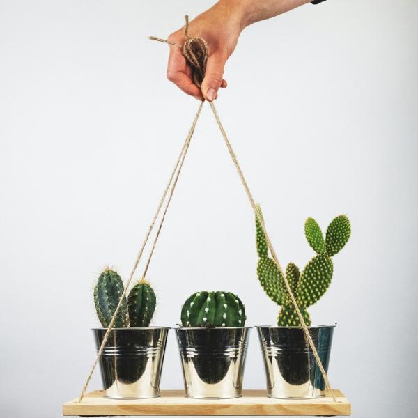 Giá Đỡ Cây 3 Tầng Gỗ Thông